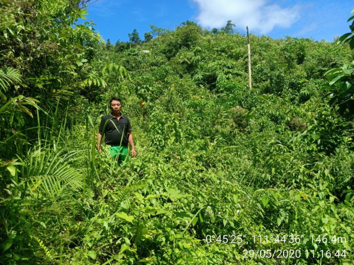 Holiday eco friendly prepare tips