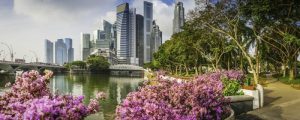 Eco conscious urbanization